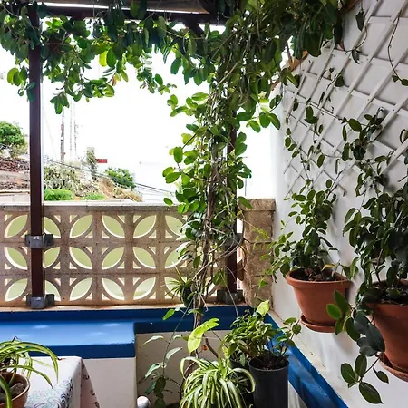 Casa Yeyo, Lomo Bermejo Holiday home Santa Cruz de Tenerife